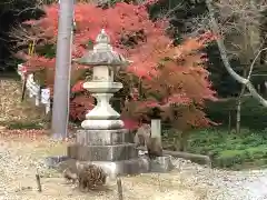 龍潭寺の動物