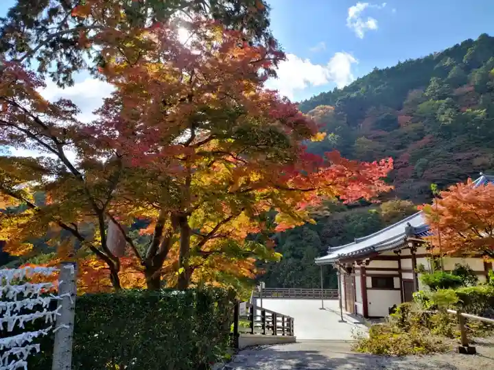 善峯寺(京都府)