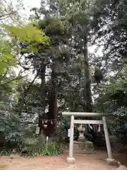 側高神社(千葉県)