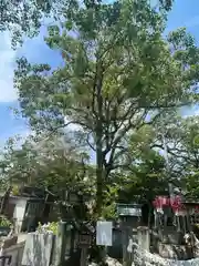 下庄八幡神社(福岡県)