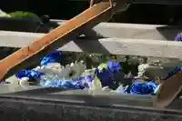 豊景神社の手水舎