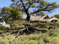 住吉神社の歴史