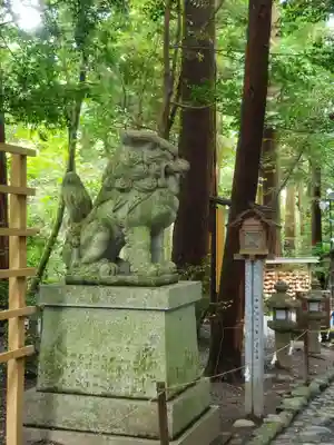 椿大神社の狛犬