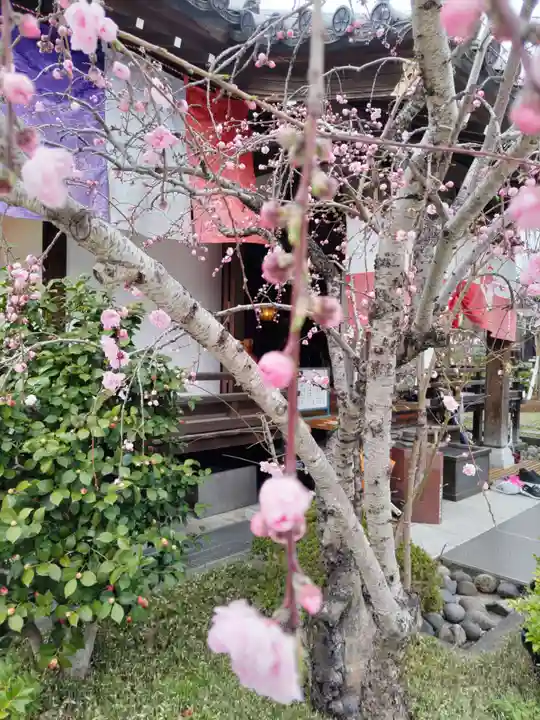 宝勝山 南藏院 蓮光寺の末社・摂社