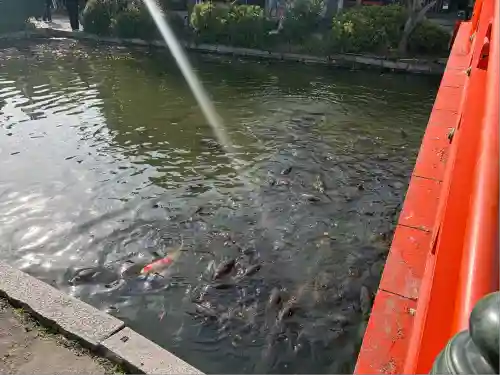 神泉苑(京都府)