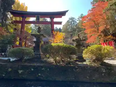 北口本宮冨士浅間神社の鳥居