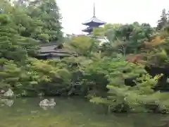 仁和寺(京都府)