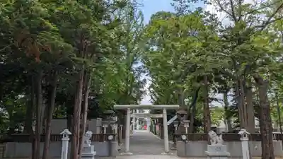 新琴似神社の鳥居