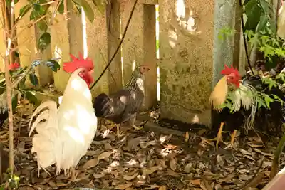 浪打八幡宮(香川県)
