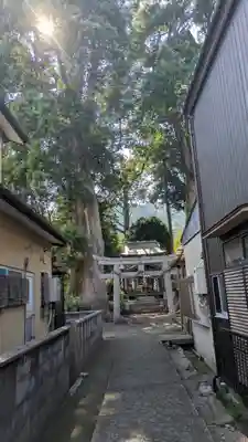 八幡宮社(小金岐八幡宮)(京都府)