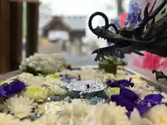 札幌諏訪神社の手水