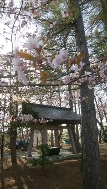 大谷地神社の手水舎