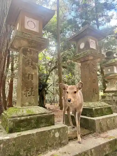 春日大社(奈良県)