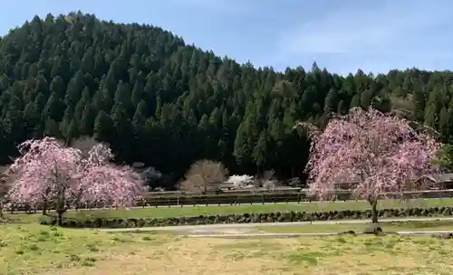 朝倉神社の景色