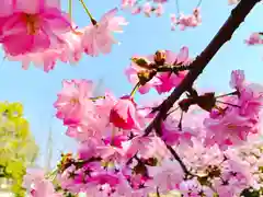 滑川神社 - 仕事と子どもの守り神の自然