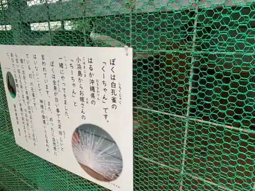 蓮田東照宮(埼玉県)