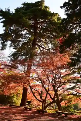胡宮神社(敏満寺史跡)(滋賀県)