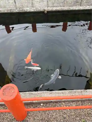 息栖神社(茨城県)