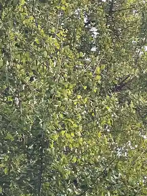 伊勢の国 四天王寺(三重県)