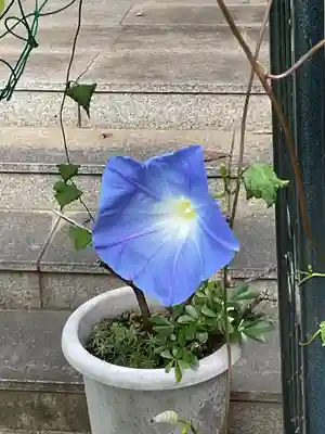 乾窓院(京都府)