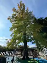 秋保神社(宮城県)