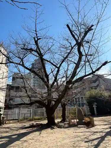 真田山 三光神社(大阪府)