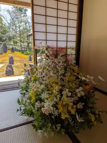 光明院（光明禅院）(京都府)
