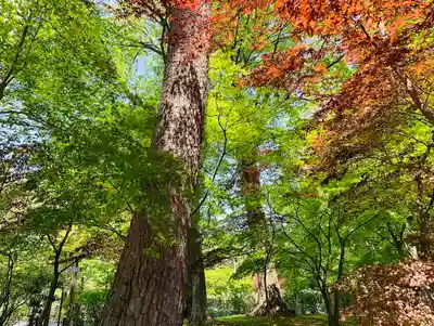 滑川神社 - 仕事と子どもの守り神の周辺