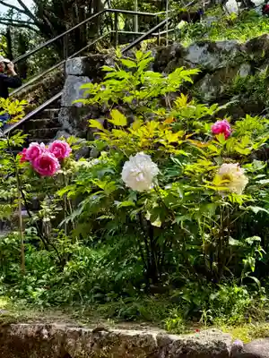 長谷寺(奈良県)