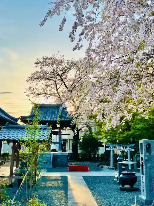 日限地蔵尊 観音院の{uncategorized: "未分類", other: "その他", undefined: "問題あり", building: "その他建物", grave: "お墓", sacred_gate: "鳥居", guardian: "狛犬", statue: "像", buddha: "仏像", history: "歴史", nature: "自然", garden: "庭園", animal: "動物", pagoda: "塔", temizu: "手水舎", mountain_gate: "山門・神門", sanctuary: "本殿・本堂", subordinate: "末社・摂社", art: "芸術", scenery: "景色", jizo: "地蔵", ema: "絵馬", goshuin: "御朱印", omikuji: "おみくじ", items: "授与品その他", amulet: "お守り", goshuincho: "御朱印帳", eats: "食事", festival: "お祭り", votive_dance: "神楽", shichigosan: "七五三参", wedding: "結婚式", experience: "体験その他", initially: "初詣", around: "周辺", anti_infection: "感染症対策"}