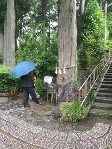 神場山神社(静岡県)