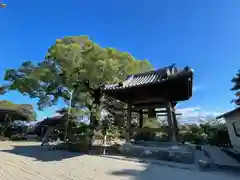 朝田寺(三重県)