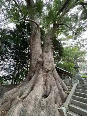 五所八幡宮(福岡県)