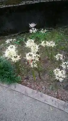 願掛け寺　香林寺の自然