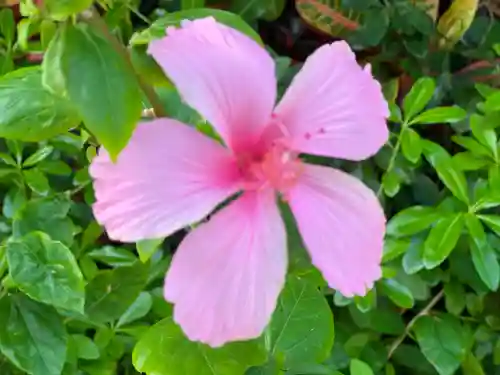 波上宮(沖縄県)