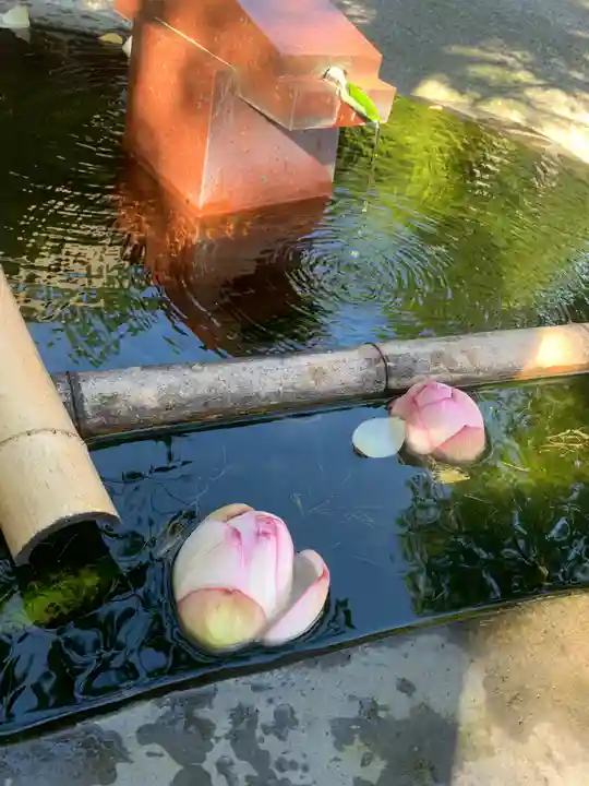 慈恩寺の手水舎