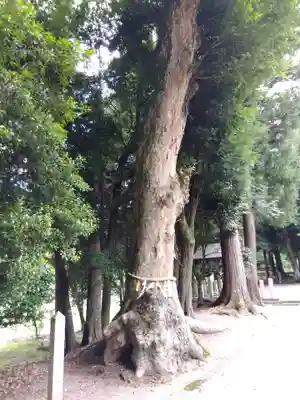 神山神社(滋賀県)