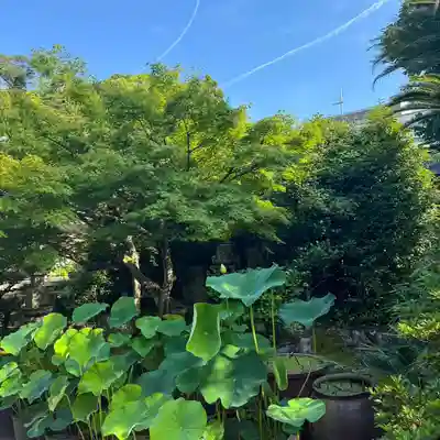 伊勢の国 四天王寺(三重県)