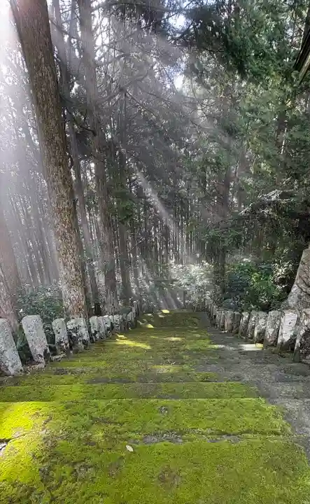 豊楽寺(高知県)