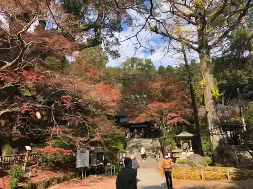 大興善寺の庭園