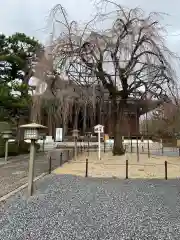 大報恩寺（千本釈迦堂）の建物その他