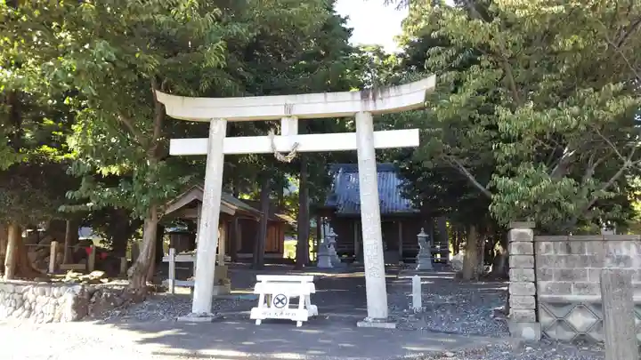 大井神社の鳥居