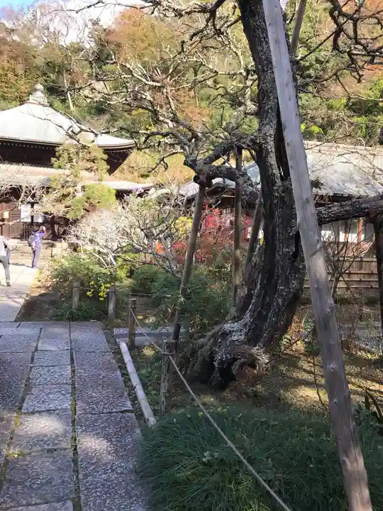 瑞泉寺のその他建物