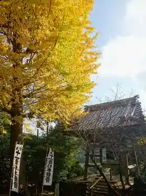 杉本寺(神奈川県)