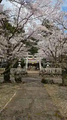 天鷹神社(岐阜県)