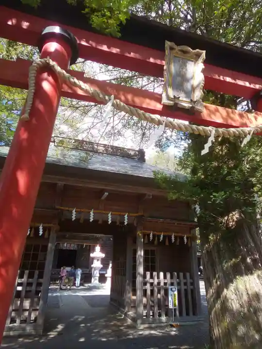 淺間神社(忍野八海)の鳥居