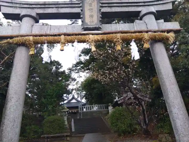 八日市普活廼神社(福井県)