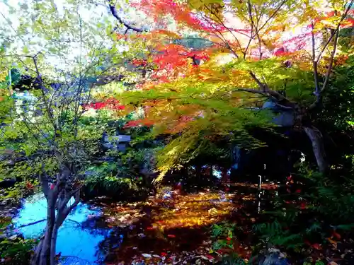 舎那院(滋賀県)