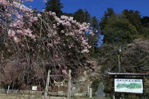 田村神社の景色