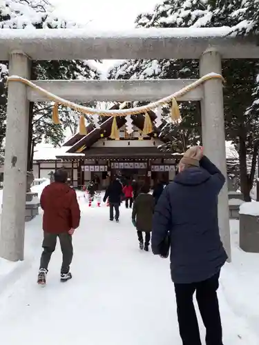 新琴似神社の鳥居